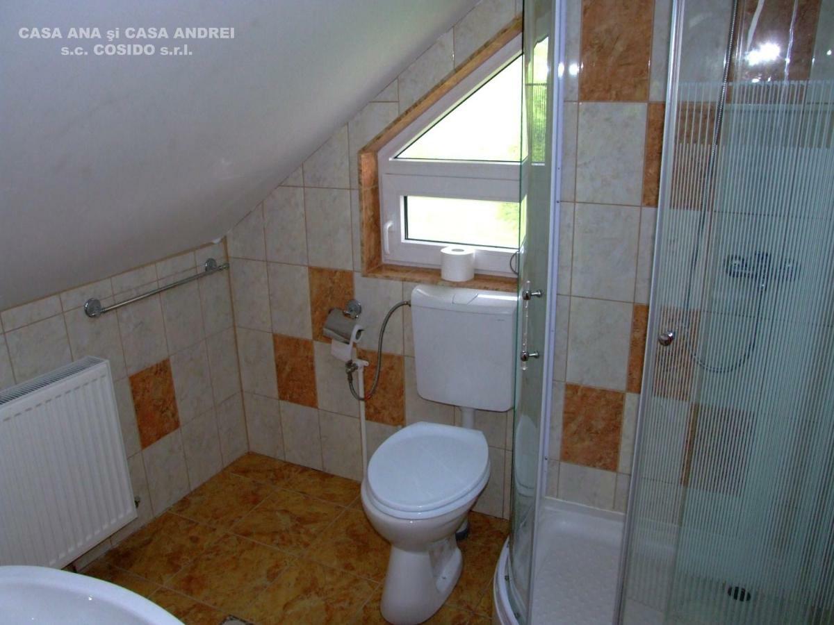 Casa Ana Vatra Dornei Villa Dealu Floreni Buitenkant foto