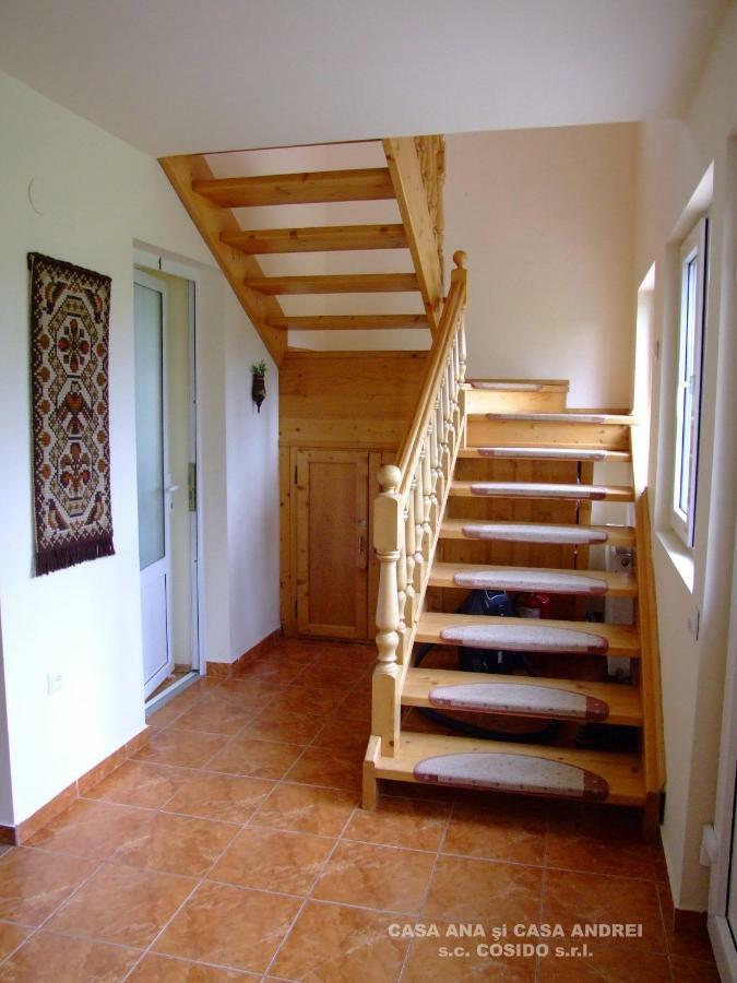 Casa Ana Vatra Dornei Villa Dealu Floreni Buitenkant foto
