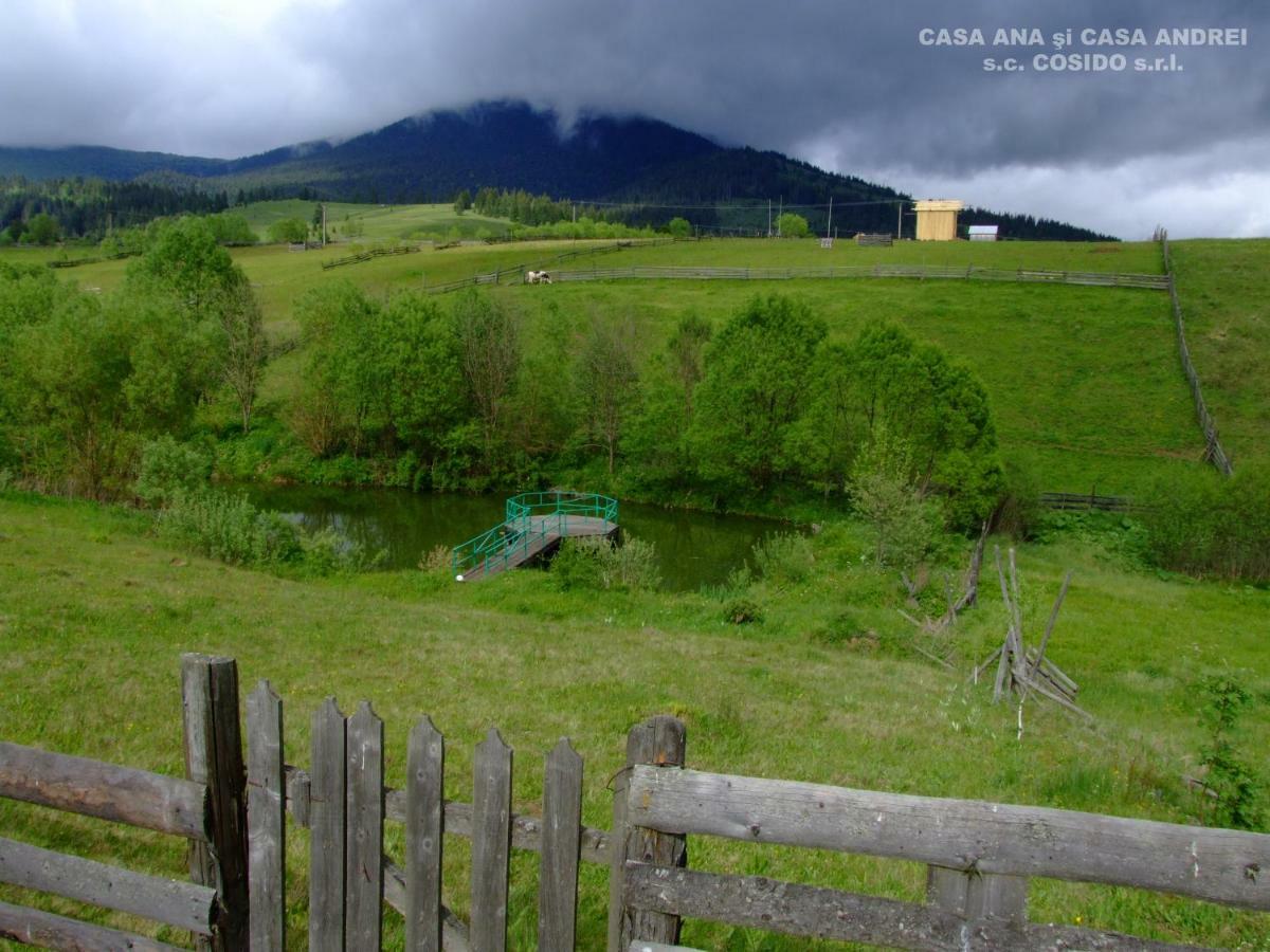 Casa Ana Vatra Dornei Villa Dealu Floreni Buitenkant foto