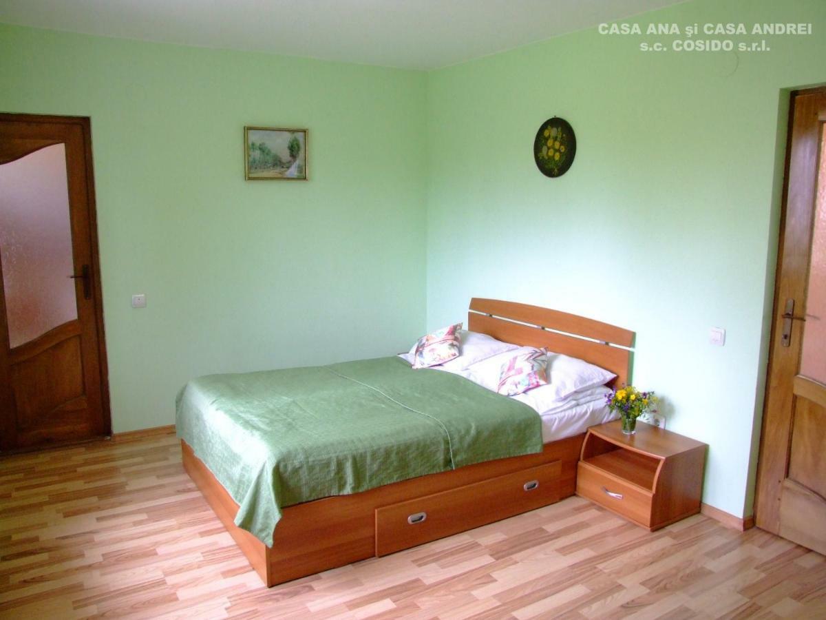 Casa Ana Vatra Dornei Villa Dealu Floreni Buitenkant foto