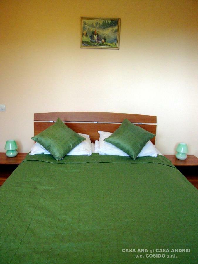 Casa Ana Vatra Dornei Villa Dealu Floreni Buitenkant foto
